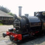 Talyllyn at Wharf Station