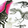 NHM Sketches: Dinosaurs 3