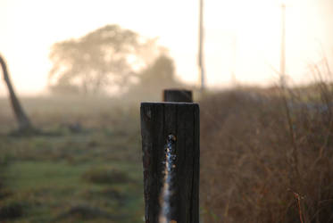 Cold fence