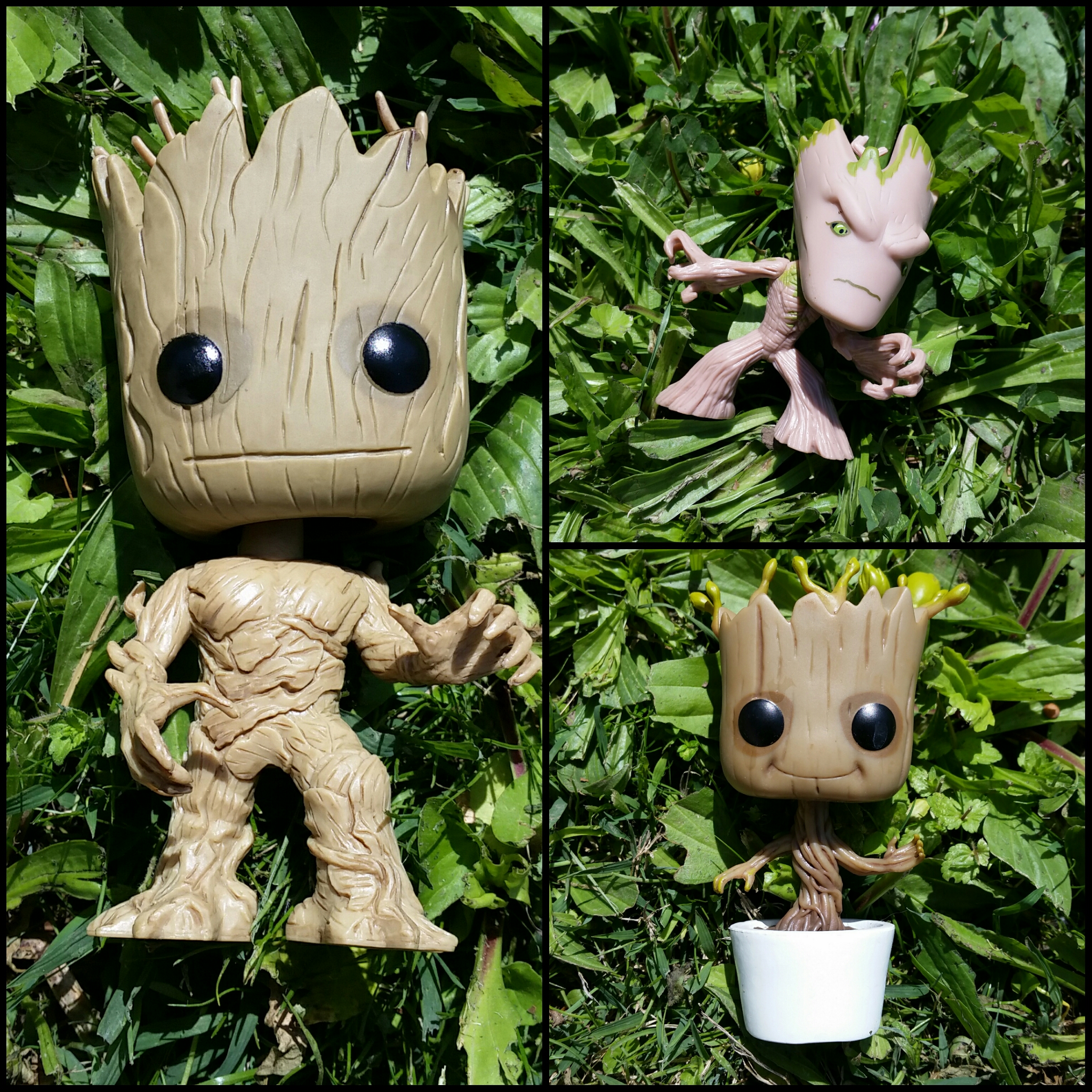 Earth Day 2015 I am Groot!