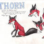 Thorn Ref 2.0