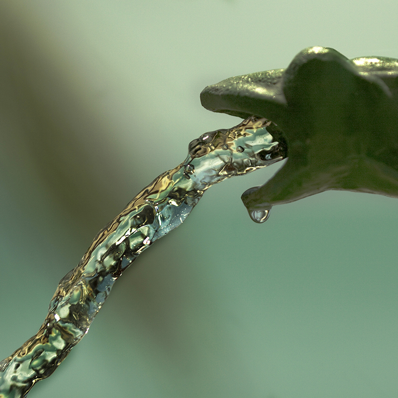 frog shower