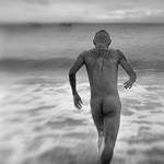 seeking for a shell by poivre