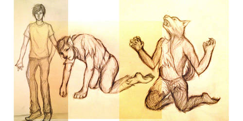 Werewolf Transformation Sequence