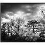 Panorama B and W - HDR