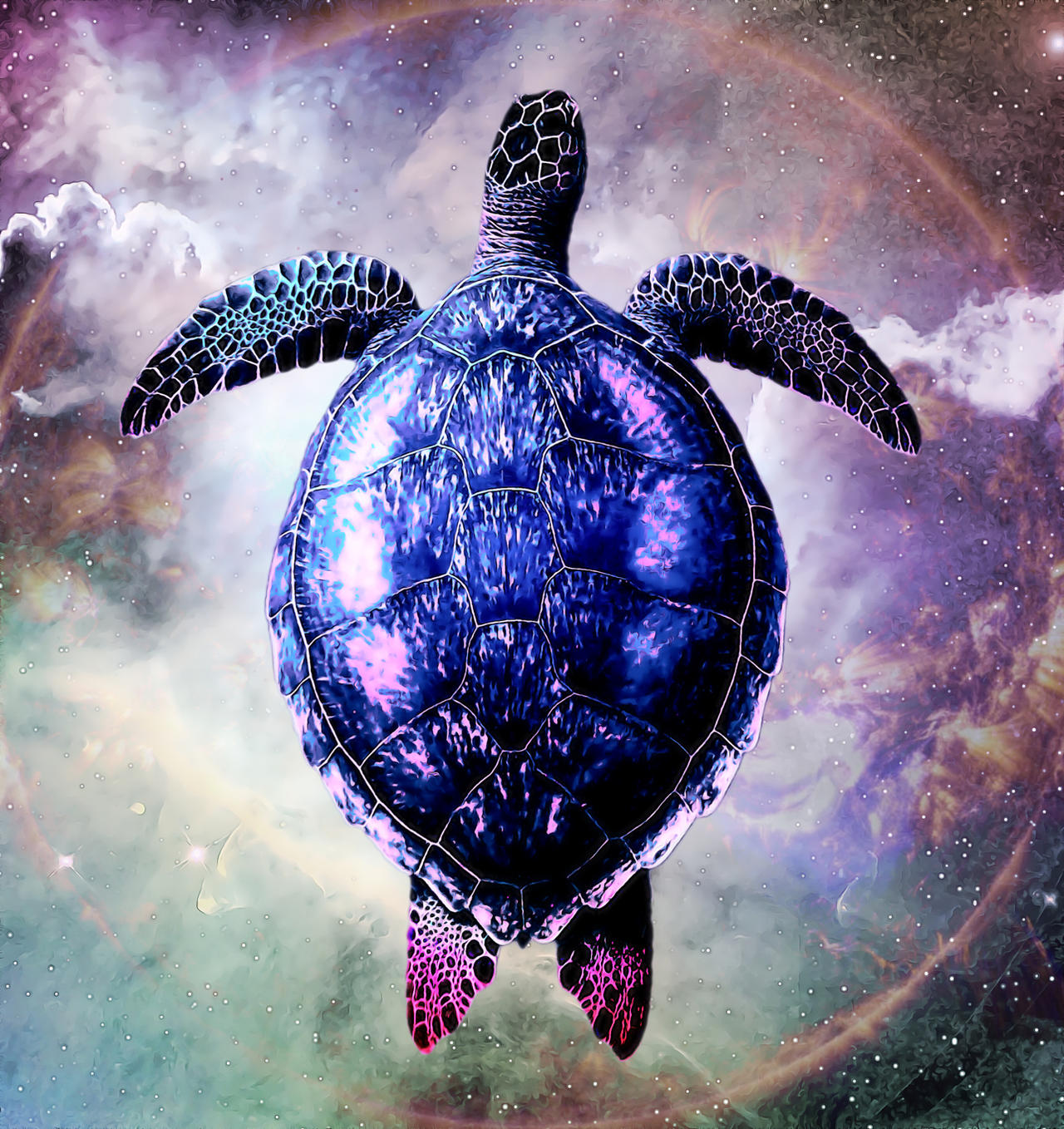 Planetary Turtle Galactic Turtle by WindowsOfWhimsy on DeviantArt