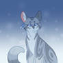 Jayfeather