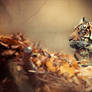 Autumn Tiger