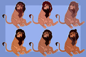 Male Lion Adopts