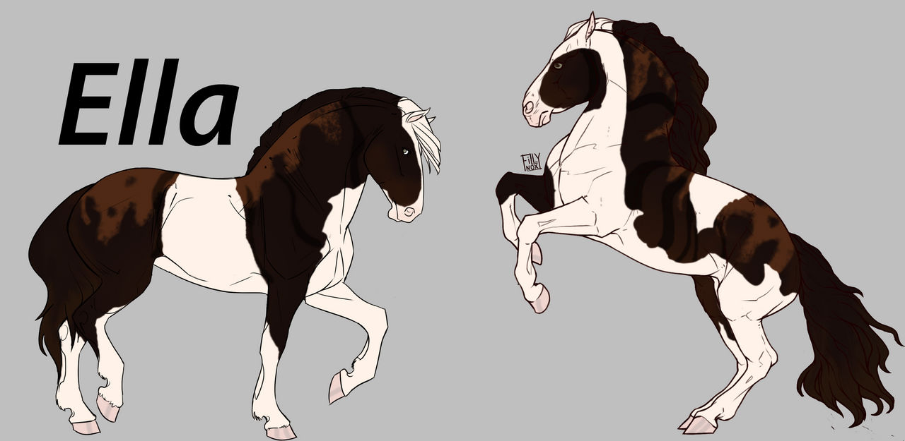 Reference sheet for Z0007