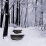 Stairs and Snow