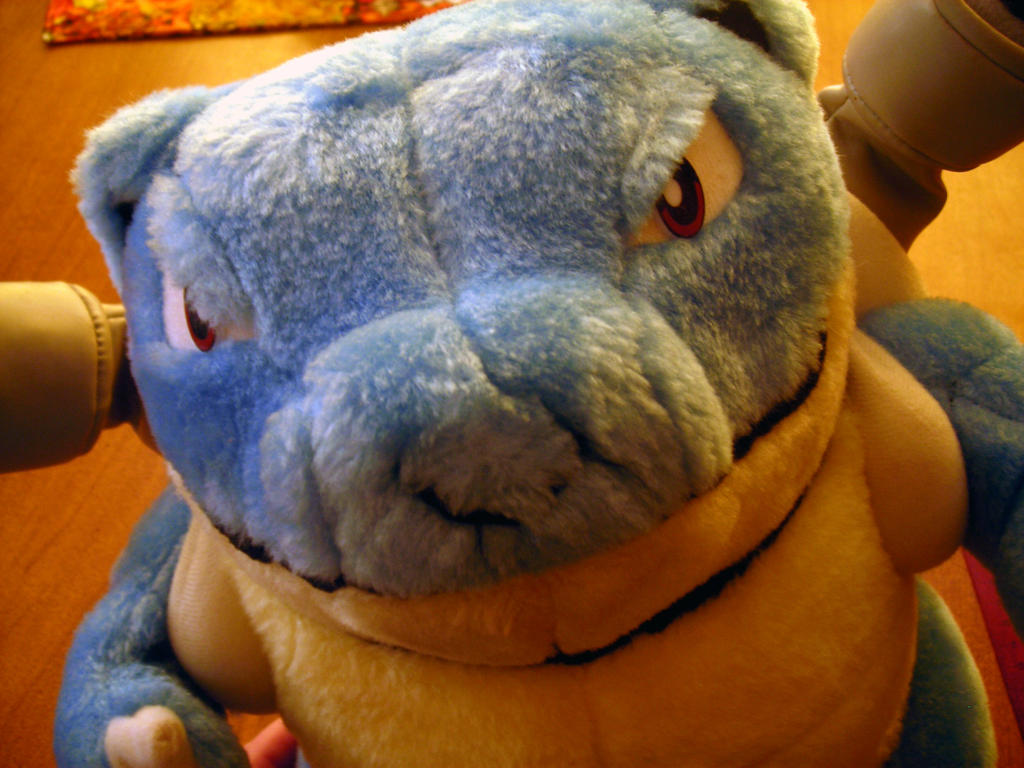 Blastoise by Play by Play - SOLD