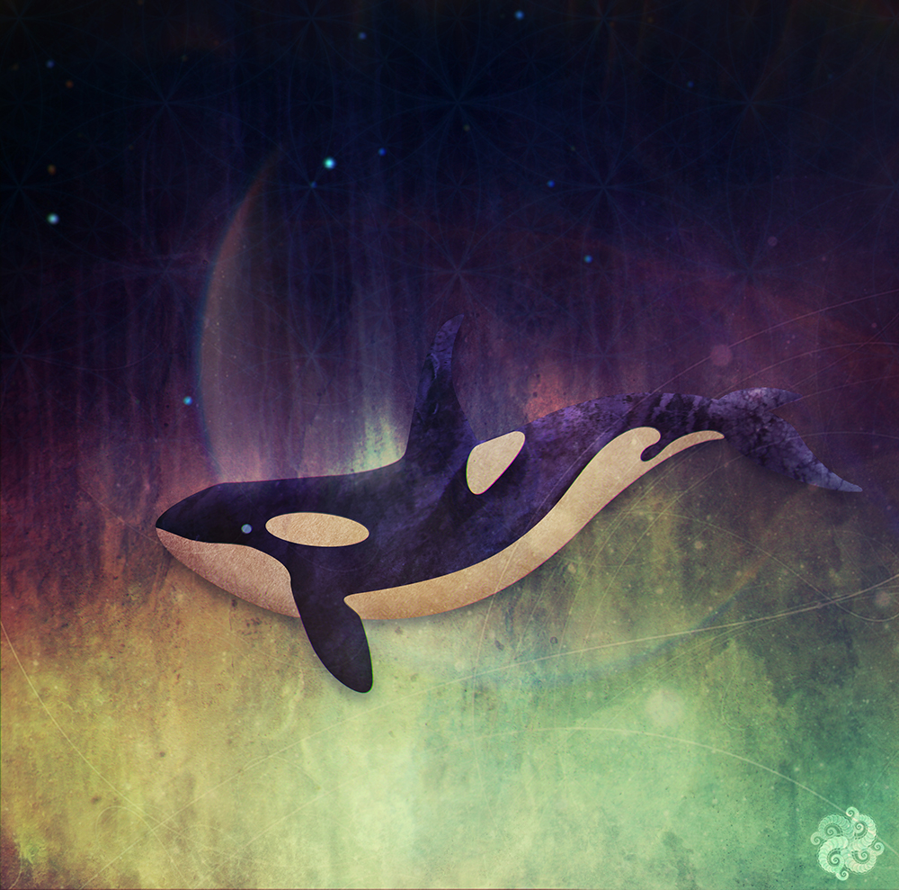 Orca2