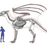 Ember Dragon Skeleton