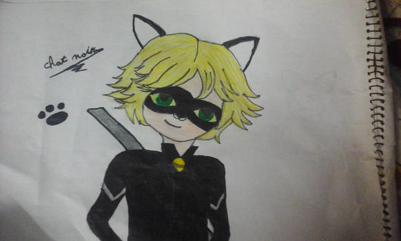 chat noir