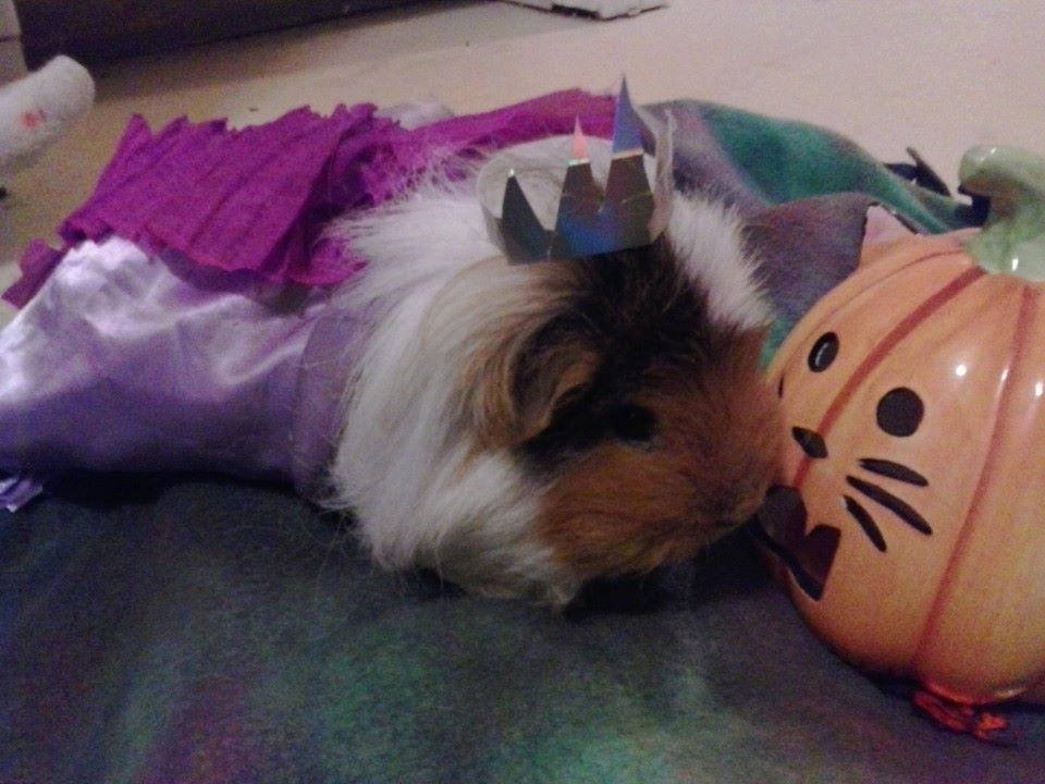 princess ginger by starlily77 on DeviantArt