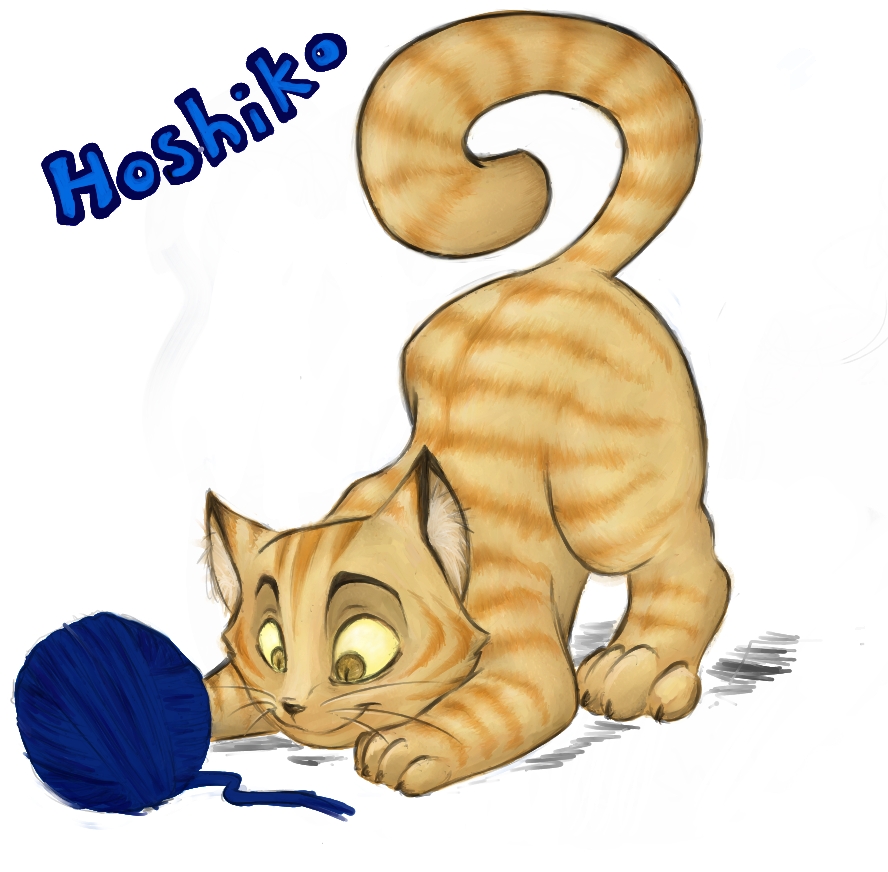 Hoshiko the Cat