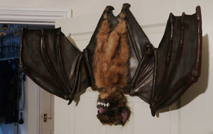 Giant Vampire Bat Prop