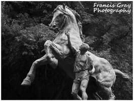 The Horse Horse Tamer