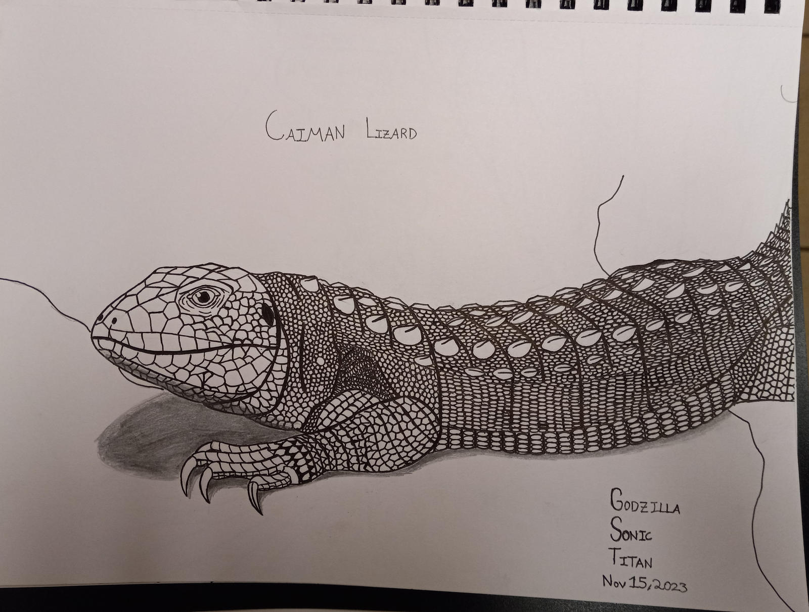 Caiman Lizard (Read Description) by GodzillaSonicTitan on DeviantArt