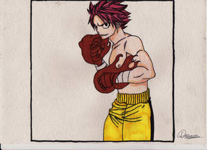 Boxer Natsu