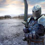 Skyrim Dawnguard