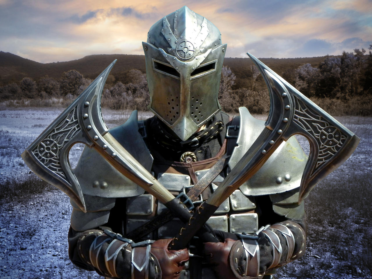 Skyrim Dawnguard