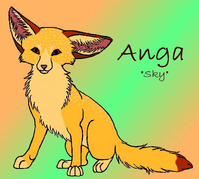 Anga the fennec fox