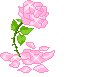 pretty pink rose (GIF)