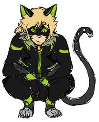 Chat Noir Adult Design Concept Sketch