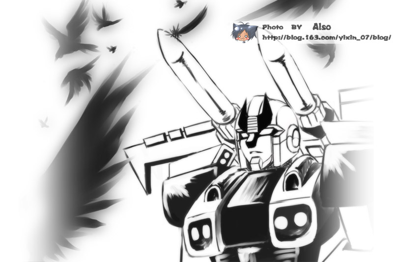 TF-Bird-Prowl