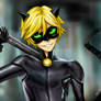 Miraculous Ladybug Chat Noir Fanart