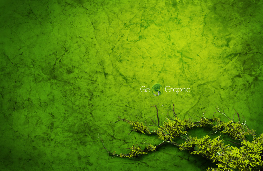 Geo Graphic Studio by reinohvp