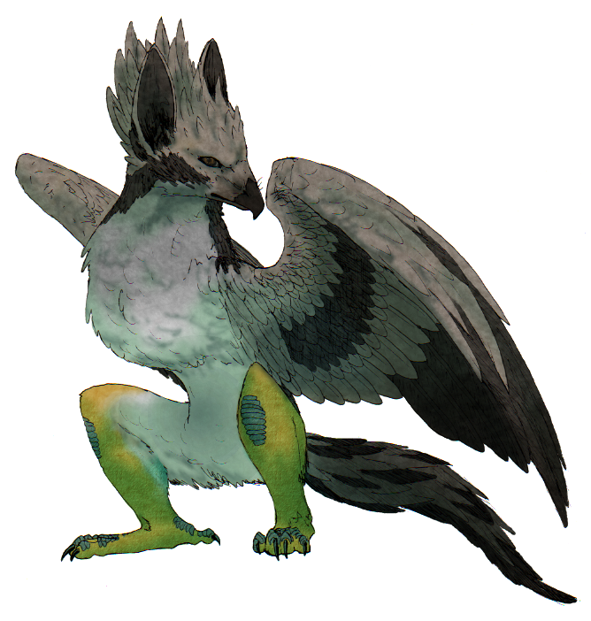 Aves Chimera