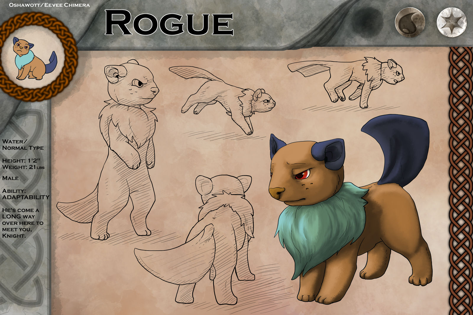 Rogue's Journey