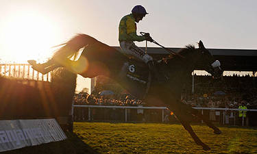 Kauto....