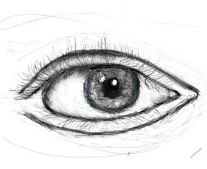 Practice Eye