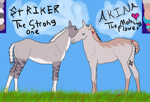 Striker and Akina