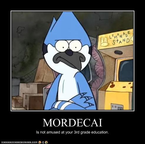 Mordecai hates idiots