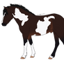 Dark Bay Horse Adopt