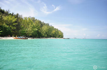 Bamboo island