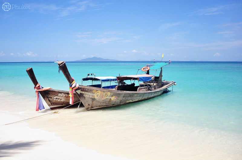 Bamboo island