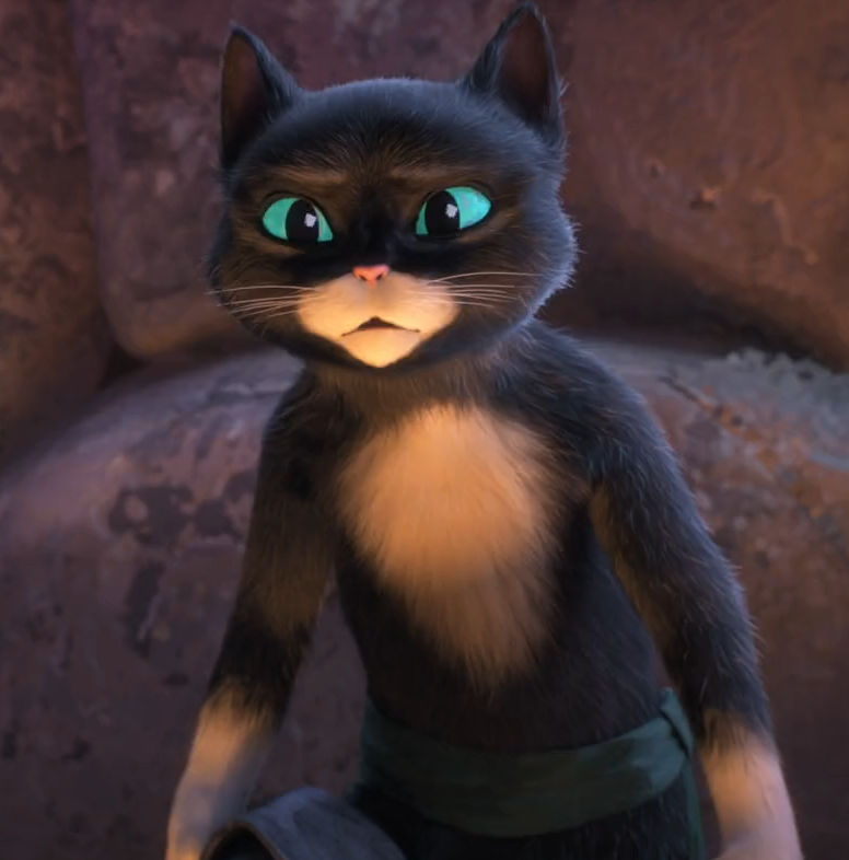 Comp Kitty Kitty softpaws comp by yeetmaster72 on DeviantArt