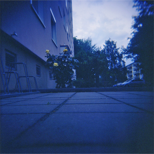 _holga o2