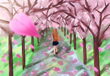 Cherry Blossom Walk