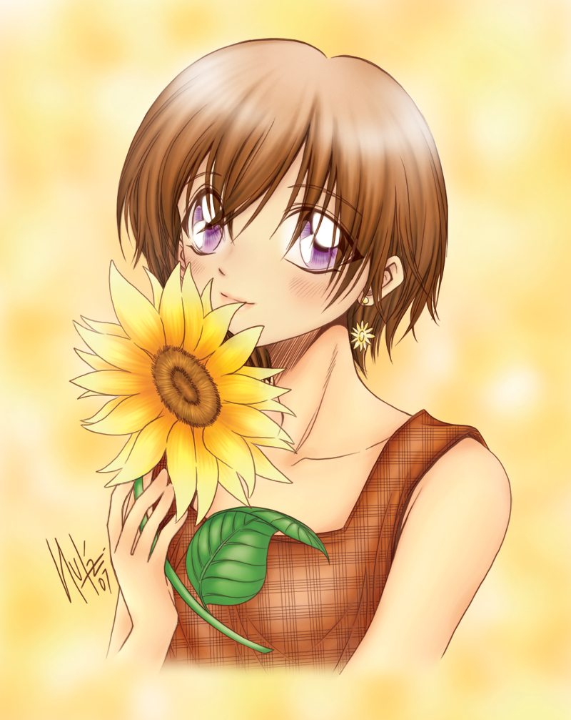 sunflower... color