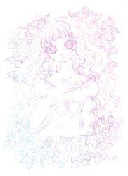 my lady rose... sketch