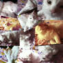 Kitty Collage