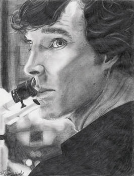 Consulting Detective With A Degree In Chemistry