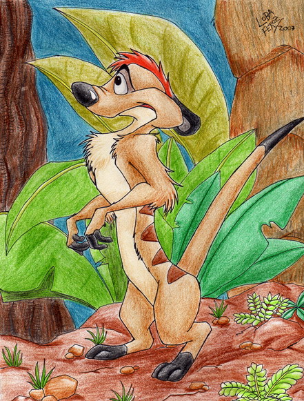 Timon